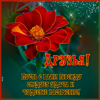 Picture чудесная картинка пусть с вами повсюду сделует удача