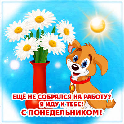 Picture чудесная картинка с понедельником