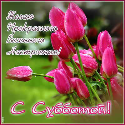Picture чудесная картинка с субботой