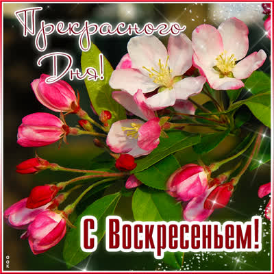 Picture чудесная картинка с воскресеньем