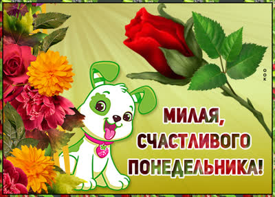 Postcard чудесная картинка счастливого понедельника
