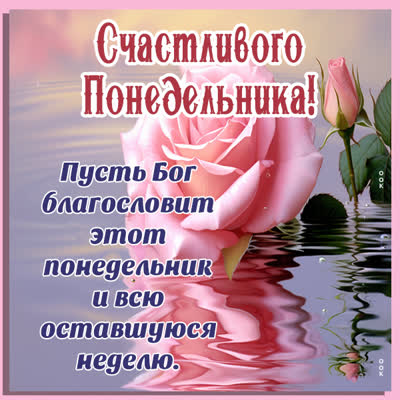 Picture чудесная картинка счастливого понедельника