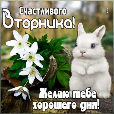Picture чудесная картинка счастливого вторника