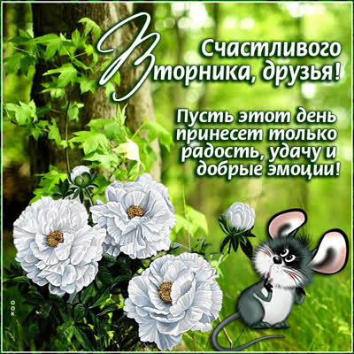 Picture чудесная картинка счастливого вторника друзья