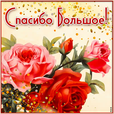 Postcard чудесная картинка  спасибо  большое