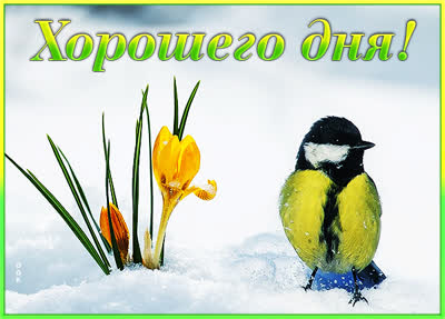 Picture чудесная картинка хорошего дня