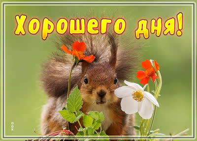 Postcard чудесная картинка хорошего дня