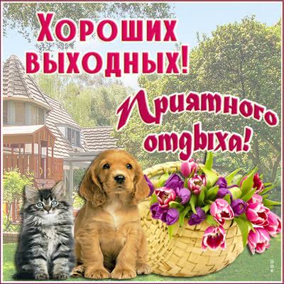 Postcard чудесная картинка хороших выходных