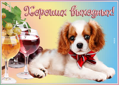 Postcard чудесная картинка хороших выходных
