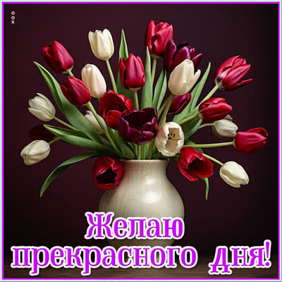 Postcard чудесная картинка желаю прекрасного дня