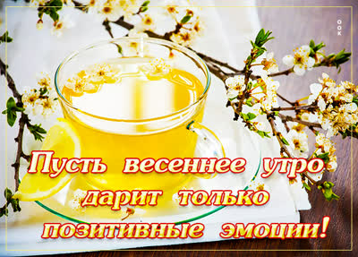 Postcard чудесная открыка пусть утро дарит позитивные эмиции
