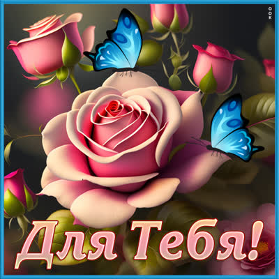 Picture чудесная открытка для тебя