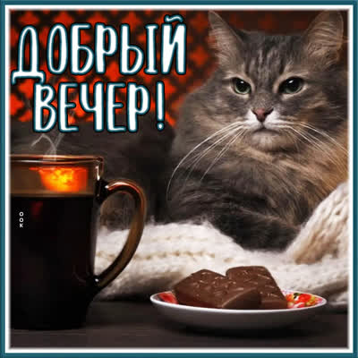 Picture чудесная открытка добрый вечер