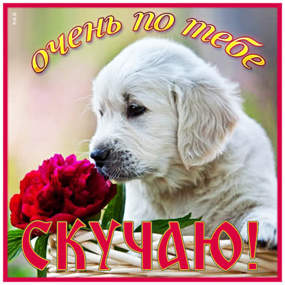 Picture чудесная открытка очень по тебе скучаю