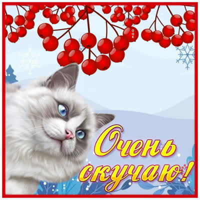 Picture чудесная открытка очень скучаю