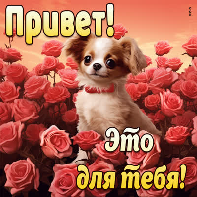 Postcard чудесная открытка привет это для тебя