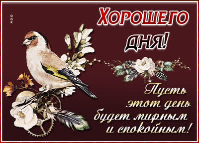 Picture чудесная открытка пусть день будет спокойным