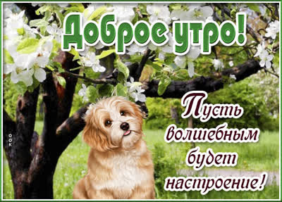 Postcard чудесная открытка пусть волшебным будет настроение