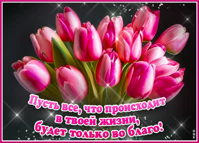 Picture чудесная открытка с цветами