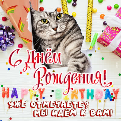 Picture чудесная открытка с днем рождения