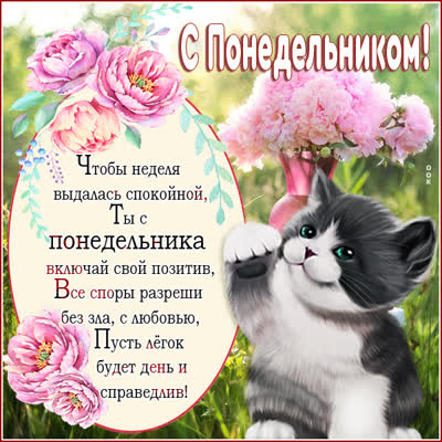 Postcard чудесная открытка с понедельником