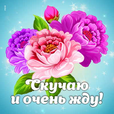 Picture чудесная открытка скучаю и очень жду