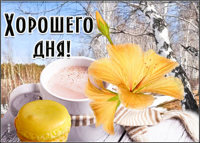 Picture чудесная открытка хорошего дня