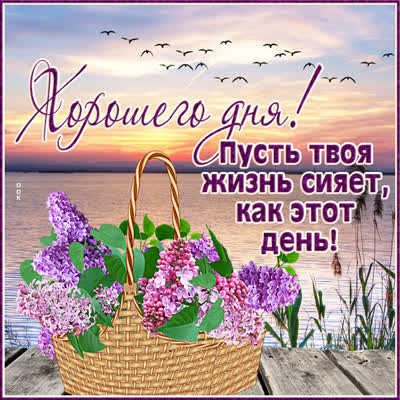 Postcard чудесная открытка хорошего дня