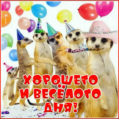 Picture чудесная открытка хорошего и веселого дня