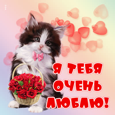 Picture чудесная открытка я тебя очень люблю
