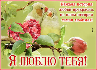 Picture чудная картинка каждая история любви прекрасна