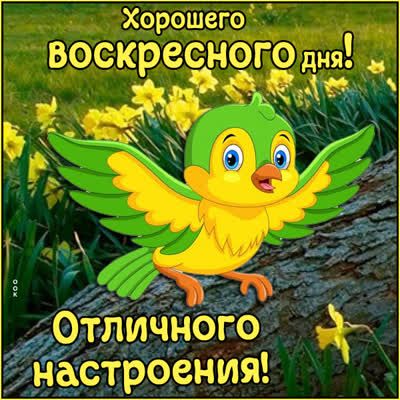 Postcard чудная картинка отличного настроения