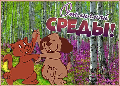 Postcard чудная картинка отличной среды