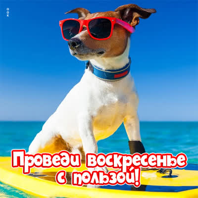 Picture чудная картинка проведи воскресенье с пользой
