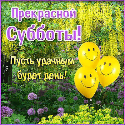 Postcard чудная картинка пусть удачным будет день