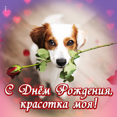 Picture чудная картинка с днем рождения красотка моя