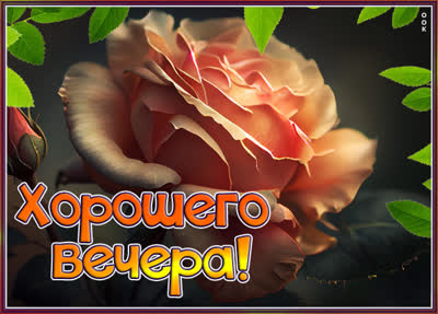 Postcard чудная картинка хорошего вечера