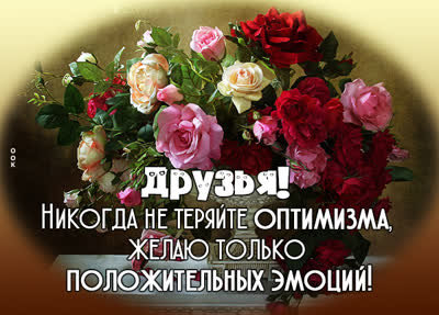 Postcard чудная картинка желаю положительных эмоций