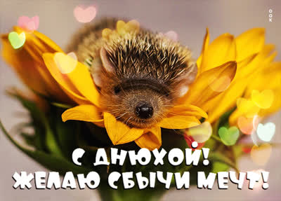 Postcard чудная картинка желаю сбычи мечт