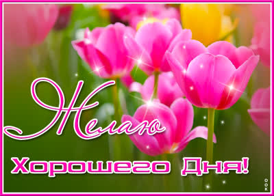 Picture чудная картинка желаю хорошего дня
