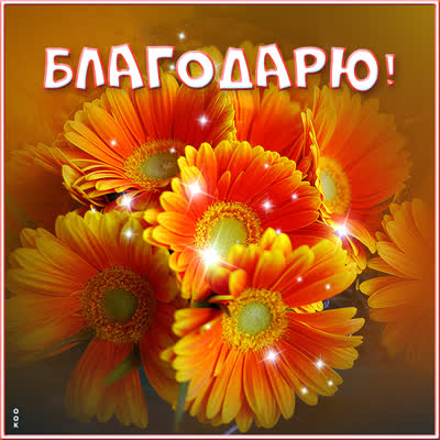 Picture чудная открытка благодарю