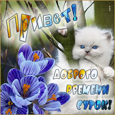 Postcard чудная открытка доброго времени суток