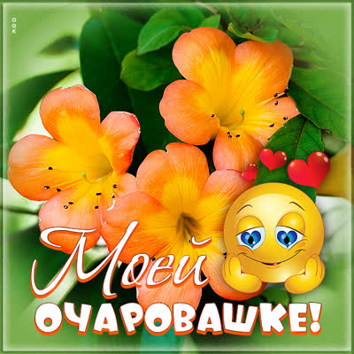 Postcard чудная открытка моей очаровашке