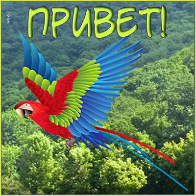Picture чудная открытка привет