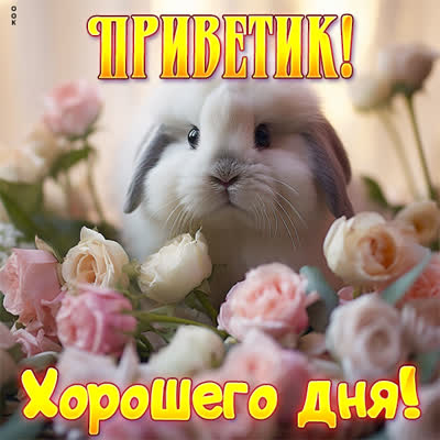 Picture чудная открытка приветик