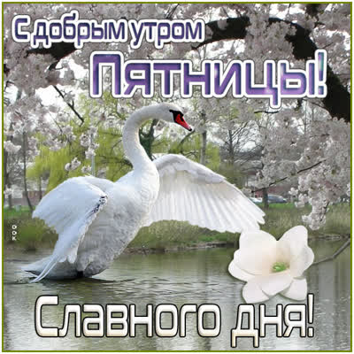 Picture чудная открытка славного дня