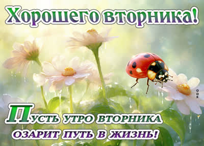 Postcard чудная открытка хорошего вторника