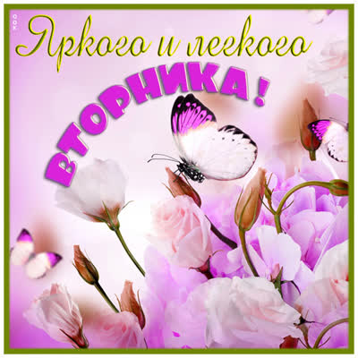 Postcard чудная открытка яркого и легкого вторника