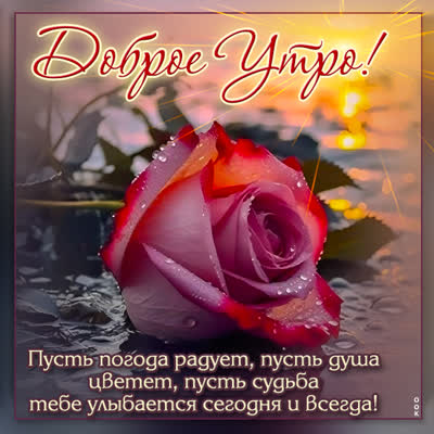 Picture цветочная открытка доброе утро
