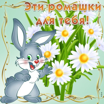 Картинка для настроения вам ромашки